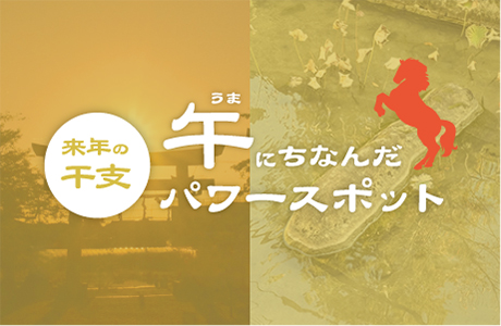 �U�b�N�U�N�N�������W