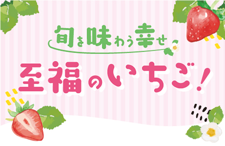 �U�b�N�U�N3�������W